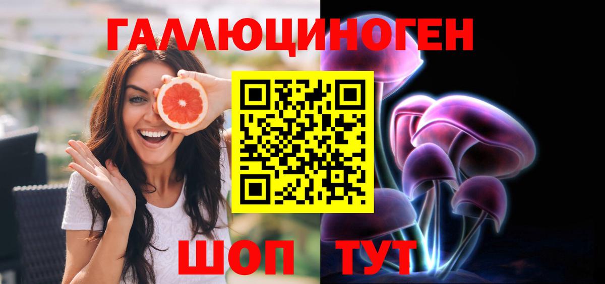 Галлюциногенные грибы Psilocybe Гулькевичи