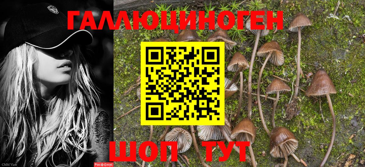 Гулькевичи  Галлюциногенные грибы мухоморы  Вход с VPN 